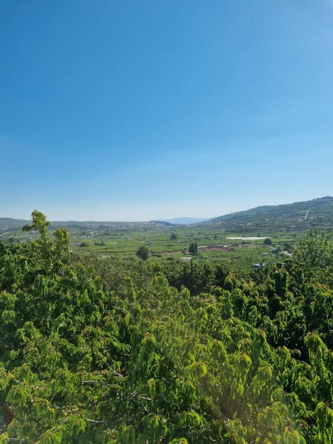Oriental Nature Majdal Shams Exterior photo