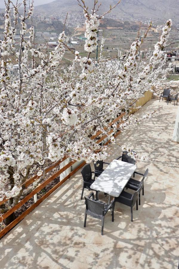 Oriental Nature Majdal Shams Exterior photo
